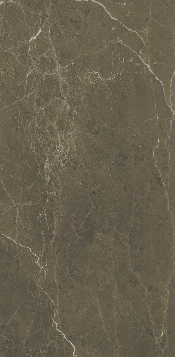 IM COFFEE BROWN POL 60X120